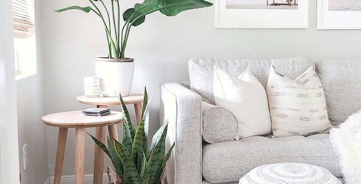 5 dicas para transformar sua casa gastando pouco