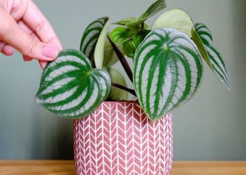 7 lojas online de decoração pra transformar sua casa