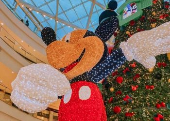 O QUE FAZER CURITIBA NATAL