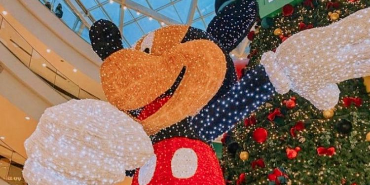 O QUE FAZER CURITIBA NATAL