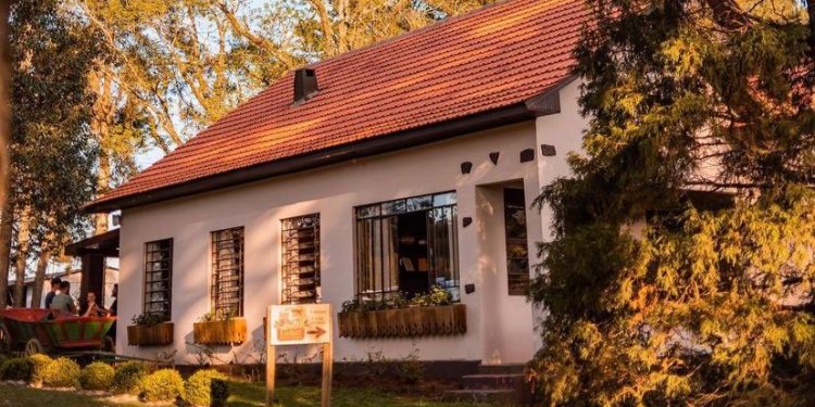 TUDO SOBRE WITMARSUM