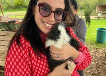 Onde aproveitar o Tour OQFC com as crianças