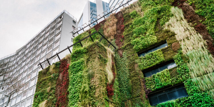 Arquitetura e Decoração em 2024