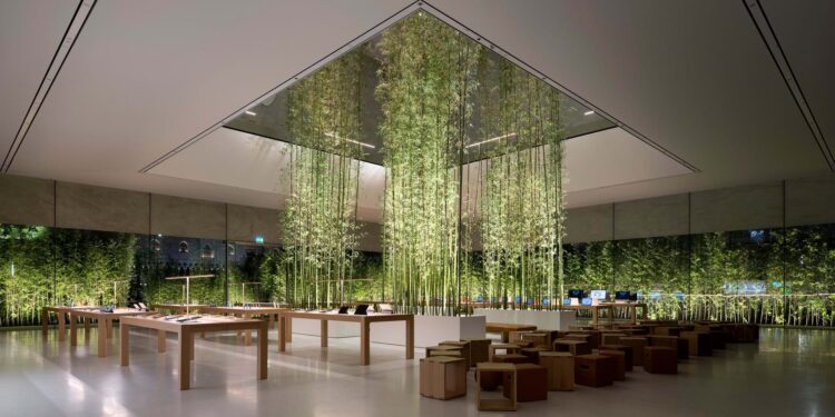 Como usar plantas e melhorar o ambiente