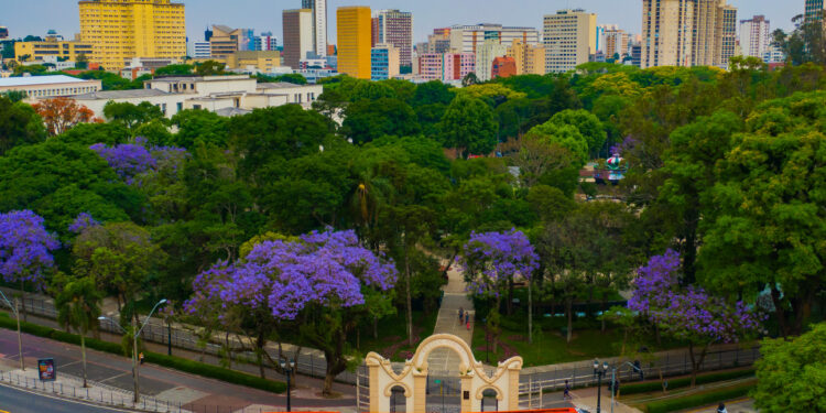 O que fazer no centro de Curitiba
