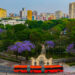 O que fazer no centro de Curitiba