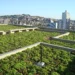 Design Sustentável