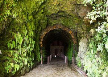 Onde Almoçar e Curtir o Dia Perto de Curitiba
