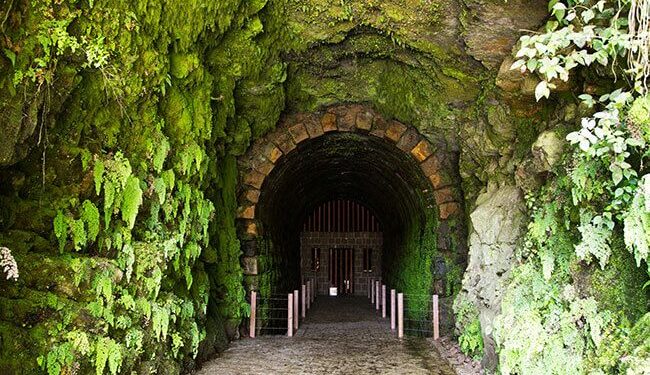 Onde Almoçar e Curtir o Dia Perto de Curitiba
