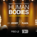 “Human Bodies” volta a Curitiba com corpos reais e experiências imersivas no Jockey Plaza