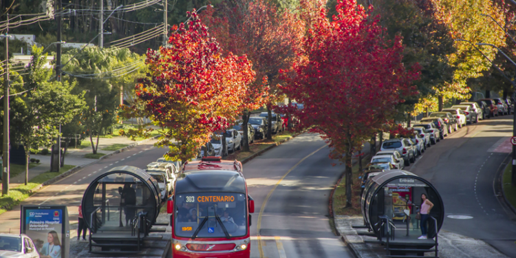 Feliz 333 anos, Curitiba!