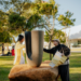 MON inaugura nova obra do avaf e lança uma “caça às artes” nos jardins do museu