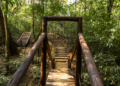 Bosques secretos de Curitiba para descobrir no feriadão