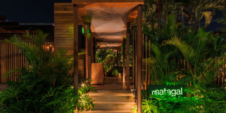 Matagal Bar apresenta nova carta de drinks