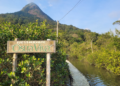 Restaurante em Guaratuba cultiva as próprias ostras e conquista espaço entre os destaques gastronômicos do Paraná