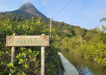 Restaurante em Guaratuba cultiva as próprias ostras e conquista espaço entre os destaques gastronômicos do Paraná