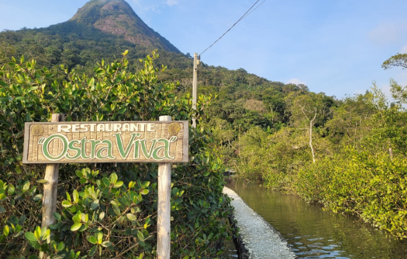 Restaurante em Guaratuba cultiva as próprias ostras e conquista espaço entre os destaques gastronômicos do Paraná